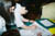 cristen-R3-011-4
